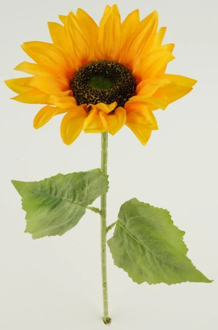 Sunflower Stick X1